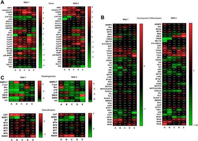 Morphologic and genic effects of waste pollution on the reproductive physiology of Paracentrotus lividus lmk: a mesocosm experiment